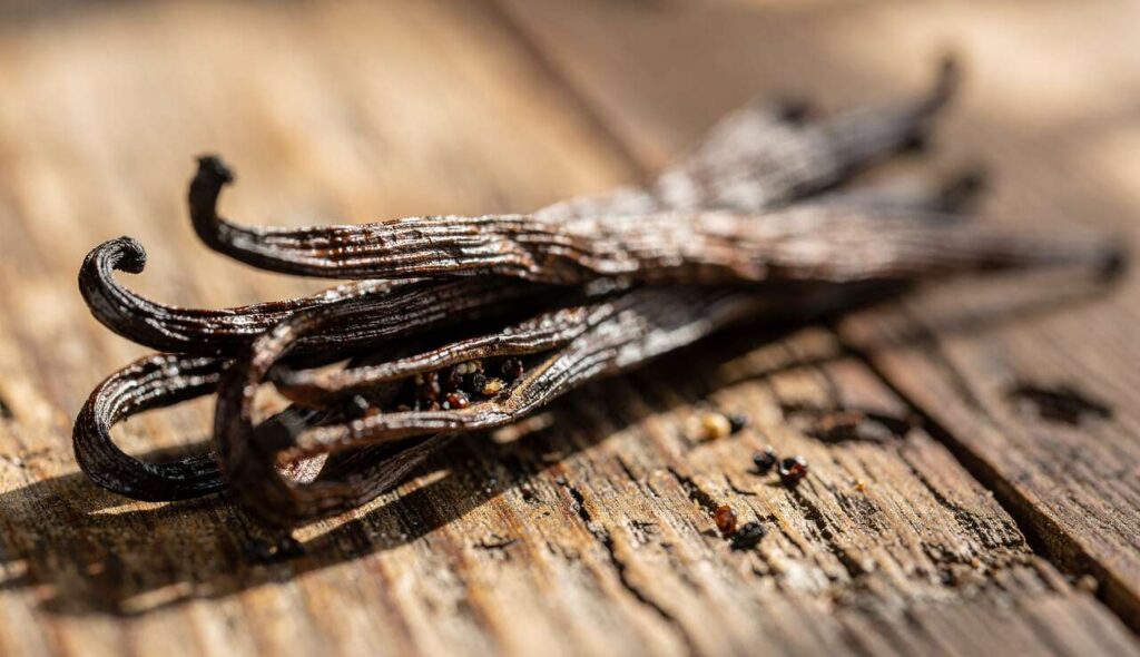 Tout savoir sur la gousse de vanille : usages et bienfaits